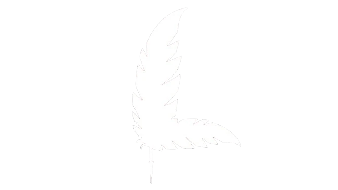 Logo ufficiale bianco di Luca Manca, professionista freelance specializzato in web design e copywriting